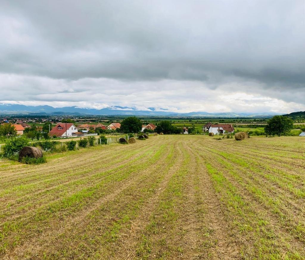 Vila Tara Hategului Esterno foto