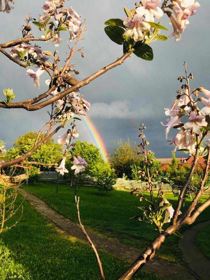 Vila Tara Hategului Esterno foto