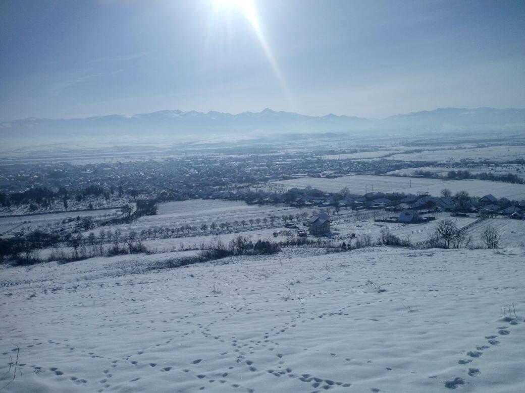 Vila Tara Hategului Esterno foto
